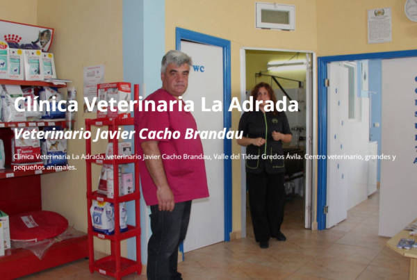 Clínica Veterinaria La Adrada, veterinario Javier Cacho