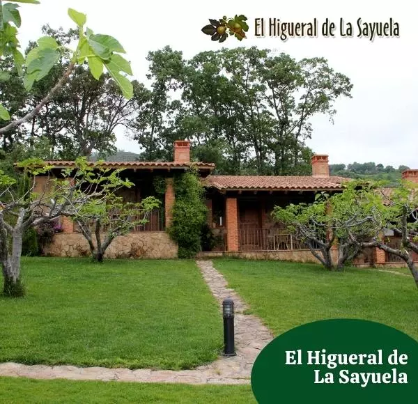 El Higueral de la Sayuela Casas Rurales y Apartamentos Turísticos en Candeleda
