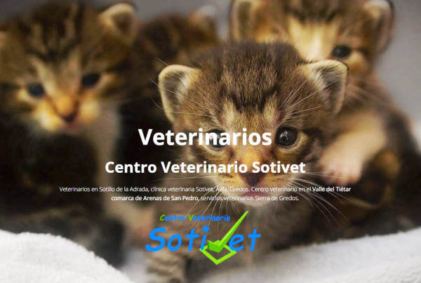Veterinarios Sotillo de la Adrada comarca Arenas de San Pedro