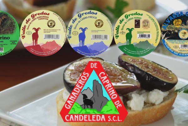 Queso de cabra artesano Candeleda Ganaderos de Caprino, Gredos