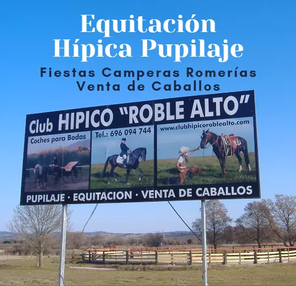 Club Hípico Roble Alto, hípica, equitación, rutas a caballo, turismo ecuestre, Candeleda Gredos