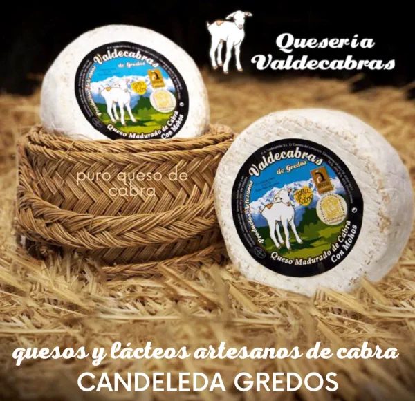 Quesos de cabra Candeleda Gredos Ávila, lácteos y quesos de cabra
