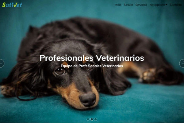 Sotivet Veterinarios Sotillo de la Adrada comarca Arenas de San Pedro